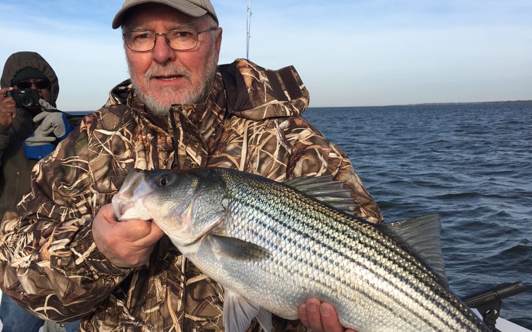 Lake Texoma Striper Action February 2017 Lake Texoma Striper Guide