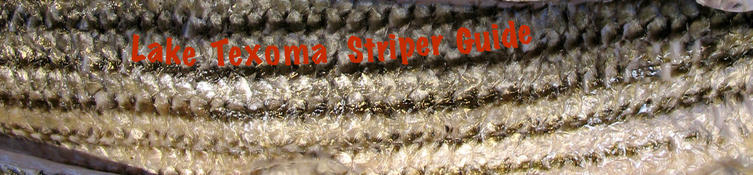 Read our privacy policy. Privacy Policy, JD Lyle Lake Texoma Striper Fishing Guide