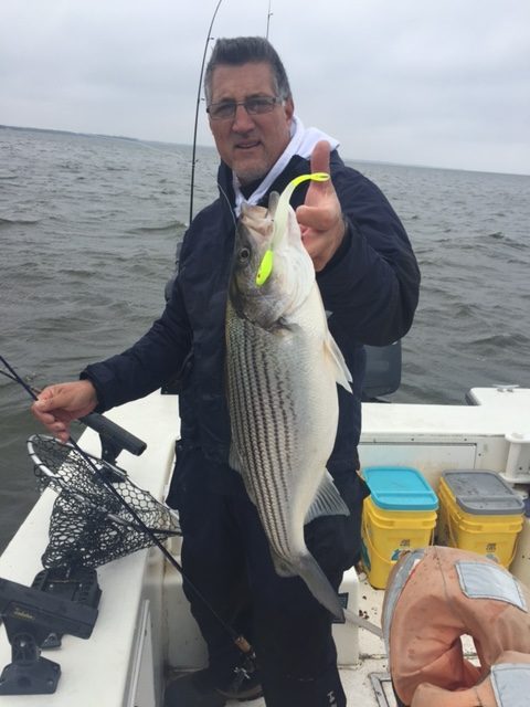 September Topwater Season Lake Texoma, Captain JD Lyle, Striper Fishing
