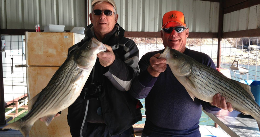 Guide JD Lyle breaks down the Lake Texoma Striper Seasons Lake Texoma Fishing Guide-JD Lyle, Best Time to Fish